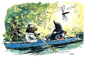 the wind in the willows image